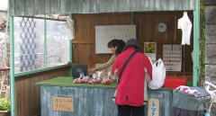 新座市石井農園